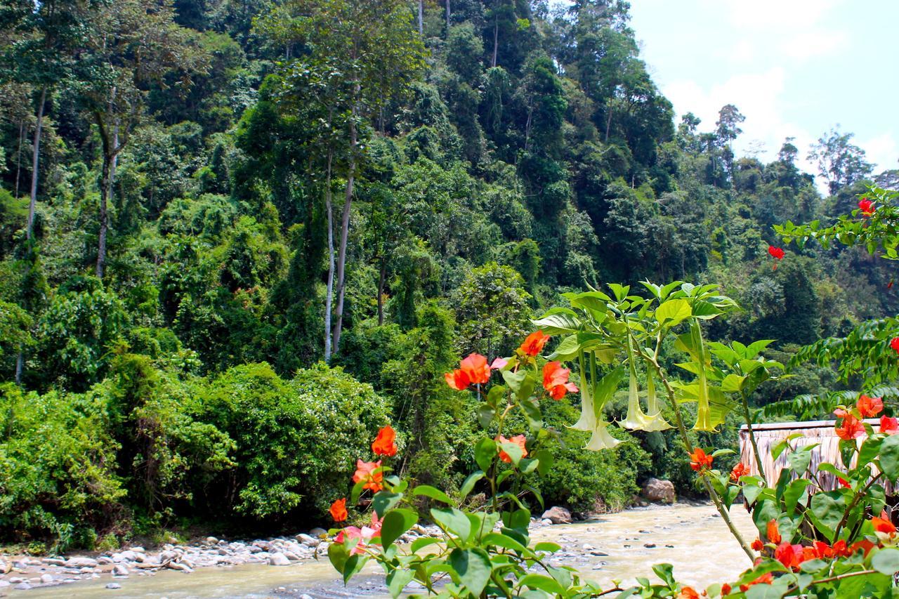 Ecotravel Cottages บูกิตลาวัง ภายนอก รูปภาพ